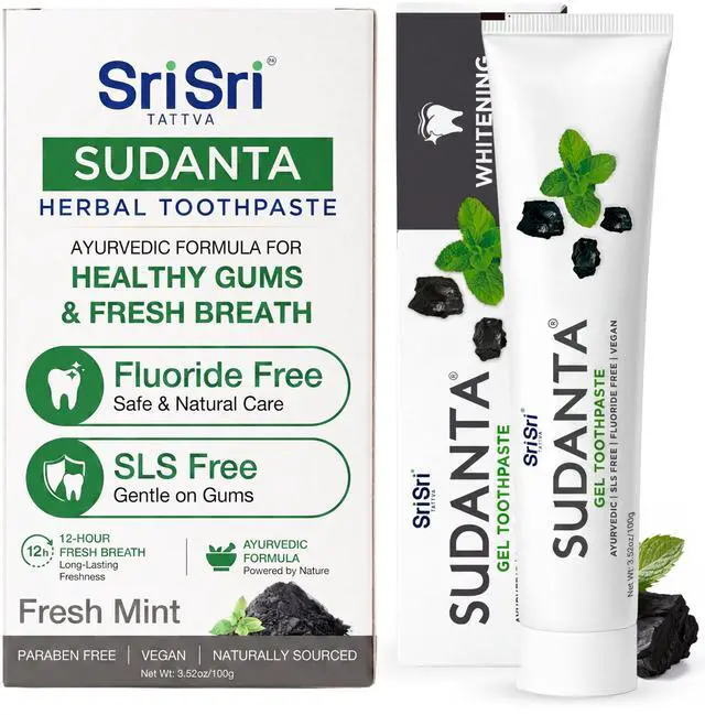 Main image of Sri Sri Tattva Charcoal Toothpaste Gel - SLS, Fluoride Free Herbal Toothpaste with Neem & Ayurvedic Herbs - Natural Teeth Whitening, Fresh Breath, Oral & Gum Health 100g Tube (Pack of 1)