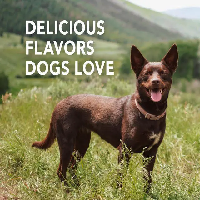 Alt view image 3 of 7 - Toothpaste for Dogs and Puppies, Cleans Teeth and Fights Bad Breath, Reduces Plaque and Tartar Formation, , reduces plaque & tartar buildup; enzymatic, no-rinse formula;