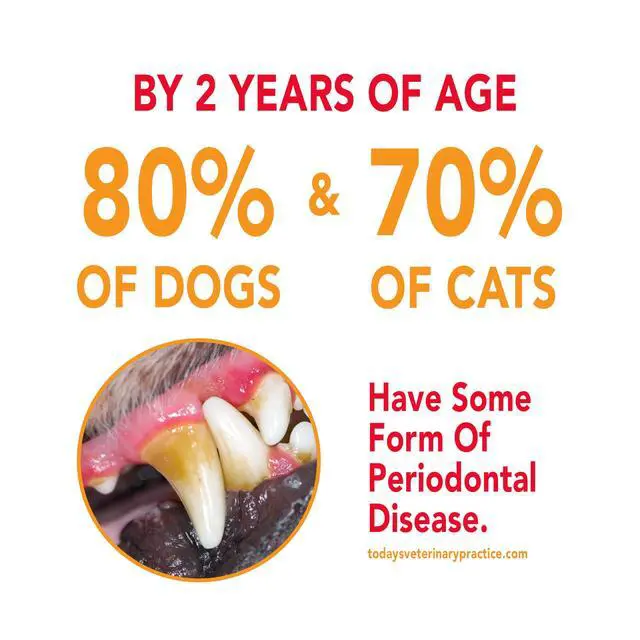 Alt view image 4 of 7 - Toothpaste for Dogs and Puppies, Cleans Teeth and Fights Bad Breath, Reduces Plaque and Tartar Formation, , reduces plaque & tartar buildup; enzymatic, no-rinse formula;