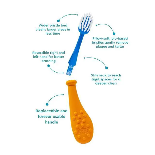 Alt view image 3 of 7 - Big Kidz Forever Toothbrush with Replaceable Head, Extra Soft Kids 6+, BPA-Free, ADA Accepted, Right & Left Handed, Tangerine/Blue, Pack of 1