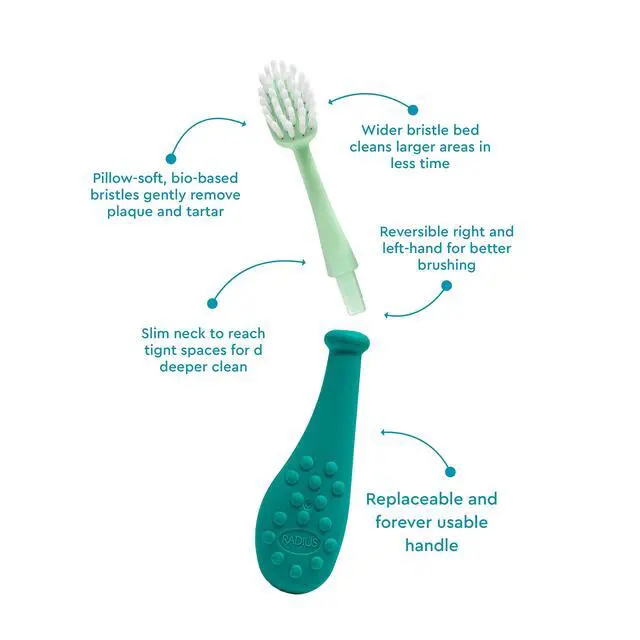 Alt view image 3 of 6 - Big Kidz Forever Brush Replaceable Head Toothbrush for Children, 6 Years and Up, BPA Free ADA Accepted for Growing Teeth and Gums - Right and Left Handed, Extra Soft - Pack of 1