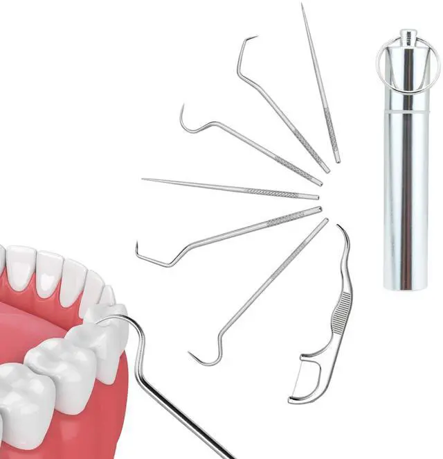 Main image of 7pcs Portable Stainless Steel Toothpick Reusable Dental Picks with Storage Tube Keyring,Teeth Cleaning Tools for Outdoor Picnic, Camping, Travel