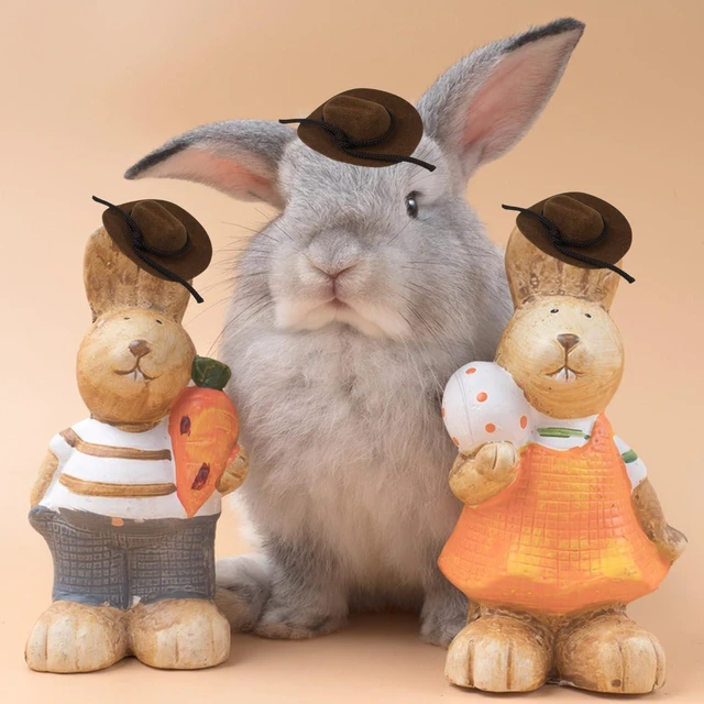 Alt view image 3 of 4 - 15 Pcs Mini Flocked Cowboy Hat Set - Tiny Decorative Hats for Party, Pets, and Dolls (2 Inch, Brown)