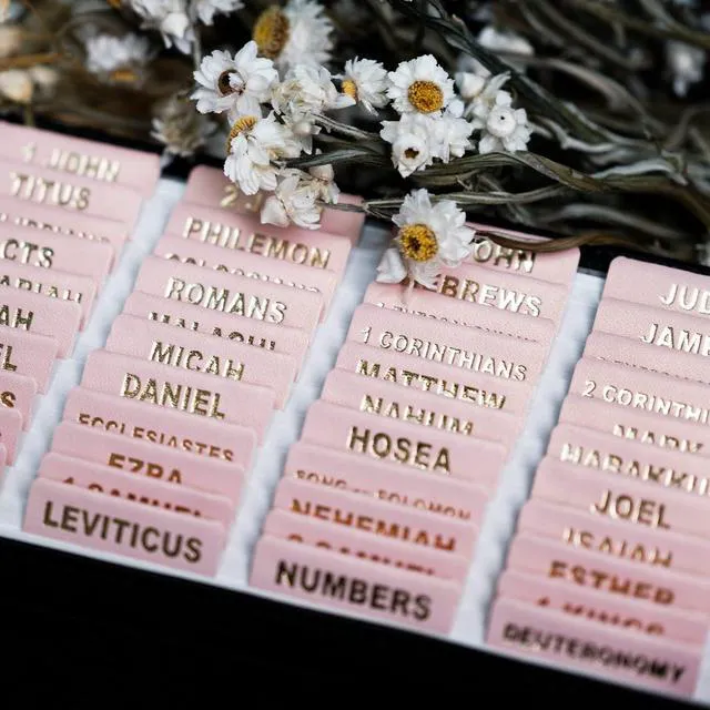 Alt view image 3 of 7 - Leather Bible Tabs for Women and Men, Gold Foil Lettering Large Print Stickers, Easy to Read and Apply, 80 Chapters Labels for Easy Navigation(Rose Pink)