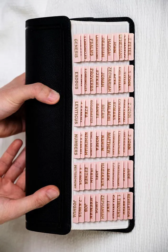 Alt view image 5 of 7 - Leather Bible Tabs for Women and Men, Gold Foil Lettering Large Print Stickers, Easy to Read and Apply, 80 Chapters Labels for Easy Navigation(Rose Pink)