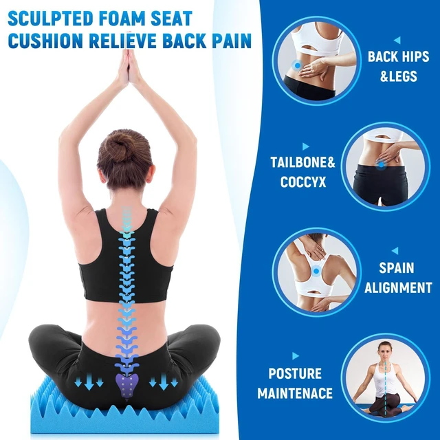 Alt view image 4 of 6 - 2 Pcs Egg Foam Pad Eggs Chair Cushion to Relieve Back Foam Seat Cushion Chair Accessories Pad for Office Recliner Wheelchair Home Car (Egg, Blue)