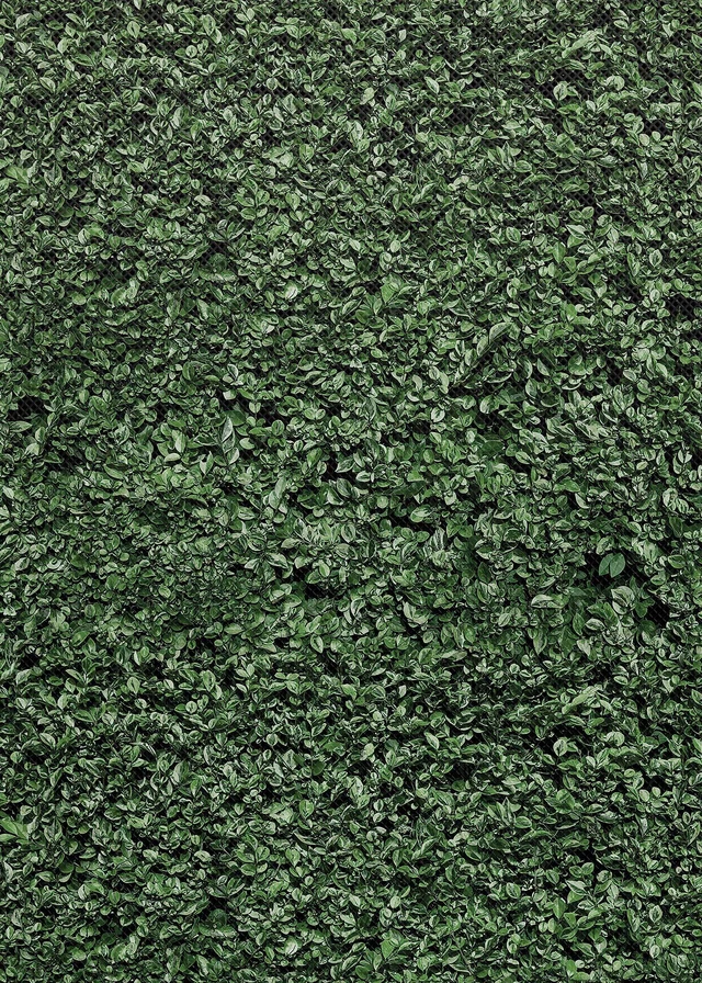 Alt view image 2 of 7 - Boxwood Better Than Paper Bulletin Board Roll (TCR77448)