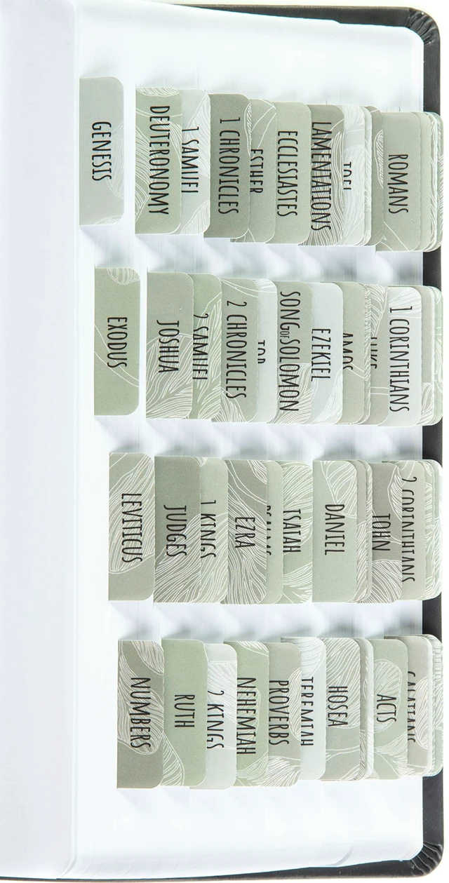 Main image of Laminated Bible Tabs for Women and Men (Sage Theme) Large Print Bible Book Tabs, Bible Study Journaling Supplies, 66 Personalized Scripture Tabs and 6 Blank Labels
