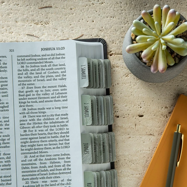 Alt view image 7 of 7 - Laminated Bible Tabs for Women and Men (Sage Theme) Large Print Bible Book Tabs, Bible Study Journaling Supplies, 66 Personalized Scripture Tabs and 6 Blank Labels