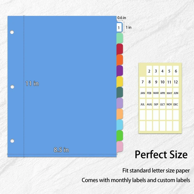 Alt view image 3 of 7 - 12-Tab Binder dividers with tabs for 3 Ring Binder, Write & Erase, Dividers for 8.5 x 11'' Letter Size Papers, Assorted Color, 3 Set, Ideal for Student, Teacher (Pack of 3)