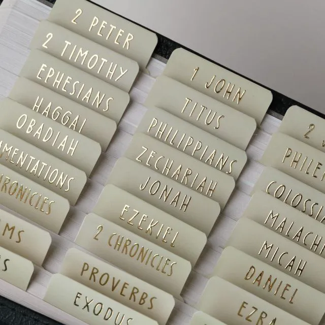Main image of Laminated Bible Tabs with Book Summaries(Lime Cream) Bible Tabs for Women and Men, 3D Gold Foil Embossed Lettering, Reposition Large Print Stickers, Easy to Read, Easy Navigation