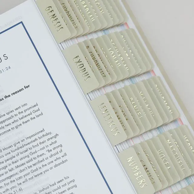 Alt view image 3 of 7 - Laminated Bible Tabs with Book Summaries(Lime Cream) Bible Tabs for Women and Men, 3D Gold Foil Embossed Lettering, Reposition Large Print Stickers, Easy to Read, Easy Navigation