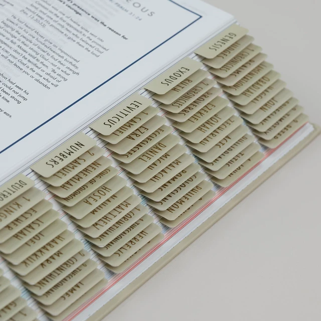 Alt view image 7 of 7 - Laminated Bible Tabs with Book Summaries(Lime Cream) Bible Tabs for Women and Men, 3D Gold Foil Embossed Lettering, Reposition Large Print Stickers, Easy to Read, Easy Navigation