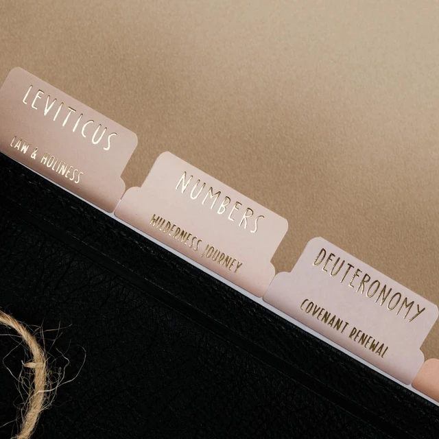 Alt view image 4 of 7 - Laminated Bible Tabs with Book Summaries Bible Tabs for Women and Men, 3D Gold Foil Embossed Lettering, Reposition Large Print Stickers, Easy to Read, Easy Navigation