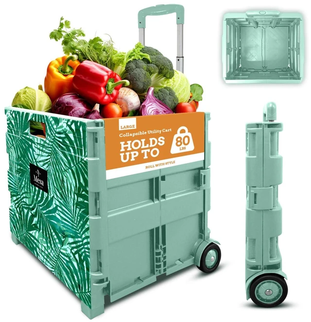 Main image of Ultra-Slim Rolling Collapsible Storage Pack-N-Roll Utility-carts, with Telescopic Handle, for Home, Garden, Shopping, Office, School use, Large, Motif Print