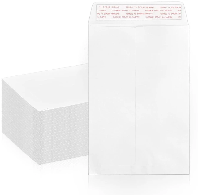 Main image of Catalog Envelopes, White, 6x9, 100 PCS Self Seal, 100 GSM, Manilla Envelopes, For Documents, Letters, Brochures, Photos