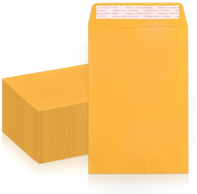 Main image of 100 Pack Manilla Envelopes 6x9 Manila Envelopes, Kraft Catalog Envelopes, Self Seal for Mailing, 100 GSM, Yellow
