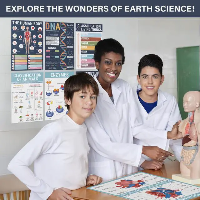 Alt view image 7 of 7 - Biology Posters for Classroom, 15 Pack 11x17 Science Charts Laminated Educational Biology Charts for Middle & High School - Decor for Hallways, Bulletin Boards, Home Study Room