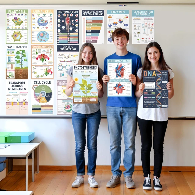 Alt view image 5 of 7 - Biology Posters for Classroom, 15 Pack 11x17 Science Charts Laminated Educational Biology Charts for Middle & High School - Decor for Hallways, Bulletin Boards, Home Study Room