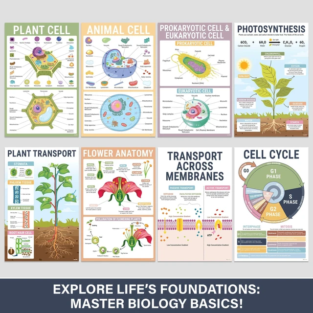 Alt view image 4 of 7 - Biology Posters for Classroom, 15 Pack 11x17 Science Charts Laminated Educational Biology Charts for Middle & High School - Decor for Hallways, Bulletin Boards, Home Study Room