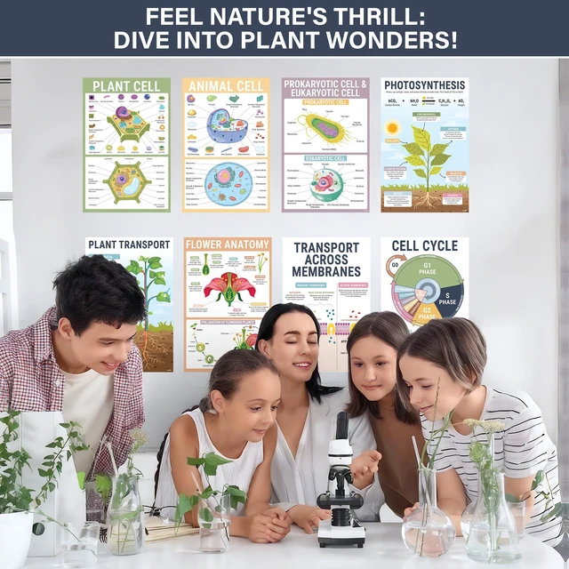 Alt view image 6 of 7 - Biology Posters for Classroom, 15 Pack 11x17 Science Charts Laminated Educational Biology Charts for Middle & High School - Decor for Hallways, Bulletin Boards, Home Study Room