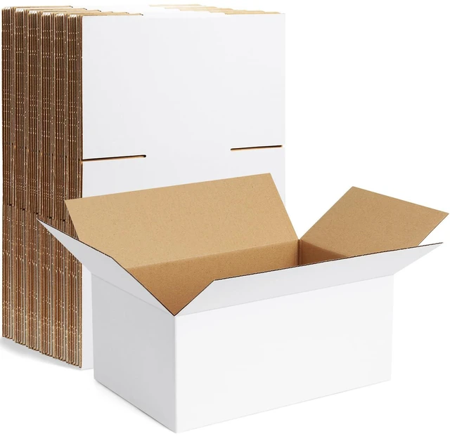 Main image of 10 Pack 9x6x4 Inch Small Shipping Boxes White Corrugated Cardboard Boxes Mailer for Small Business, Mailing Boxes for Packaging Bulk
