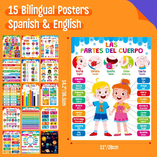 Alt view image 2 of 7 - 15 Packs Spanish & English Educational Posters, Thick Elementary Bilingual Poster Waterproof & Tearproof with PET Film, Early Language Learning Tool Educational Posters for Kindergarten Preschool