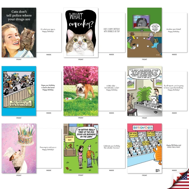 Alt view image 5 of 5 - 36 Card Birthday Cats & Dogs Funny Pet Party AC10799BDG-B1x36 Animal Dog Cat Humor Notecards w/ Envelopes Bulk Variety Pack Gift for Men & Women Celebration