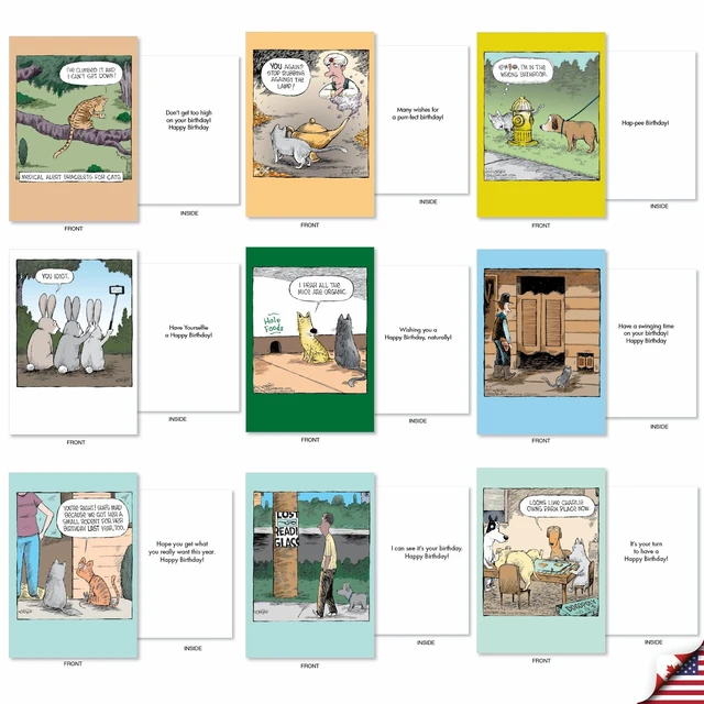 Alt view image 4 of 5 - 36 Funny Birthday Cards Box Dave Coverly Cake AC9375BDG-B1x36 Hilarious Cartoon Notecard Assortment w/ Envelopes for Men and Women Variety Pack Greeting Stationery Set