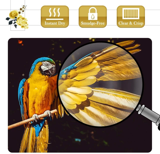 Alt view image 4 of 7 - Luster Photo Paper, Waterproof, 11x17 Inch 50 Sheets, 66lb, Single Sided, for Inkjet Printers, for Photo Printing, Art Prints