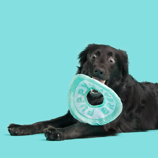Alt view image 5 of 6 - BARK Puppy Breath Mint Dog Toy & Fetch Rope, All Sizes