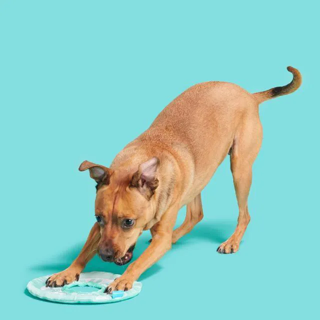 Alt view image 6 of 6 - BARK Puppy Breath Mint Dog Toy & Fetch Rope, All Sizes