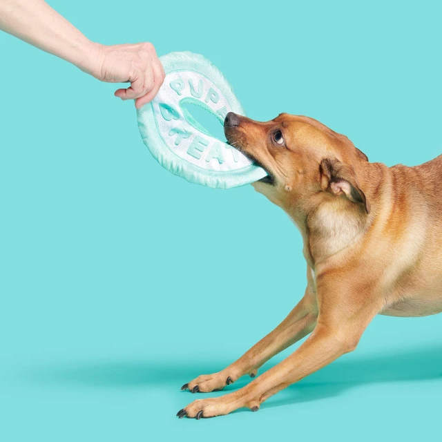 Alt view image 2 of 6 - BARK Puppy Breath Mint Dog Toy & Fetch Rope, All Sizes