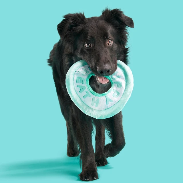Alt view image 3 of 6 - BARK Puppy Breath Mint Dog Toy & Fetch Rope, All Sizes
