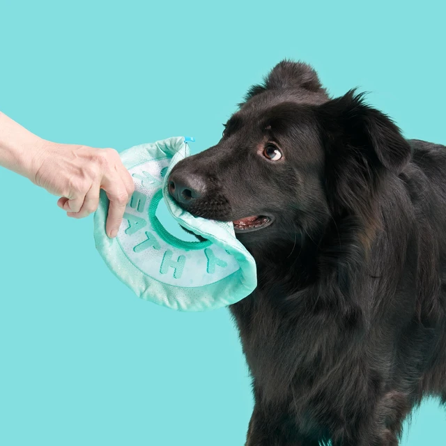Alt view image 4 of 6 - BARK Puppy Breath Mint Dog Toy & Fetch Rope, All Sizes