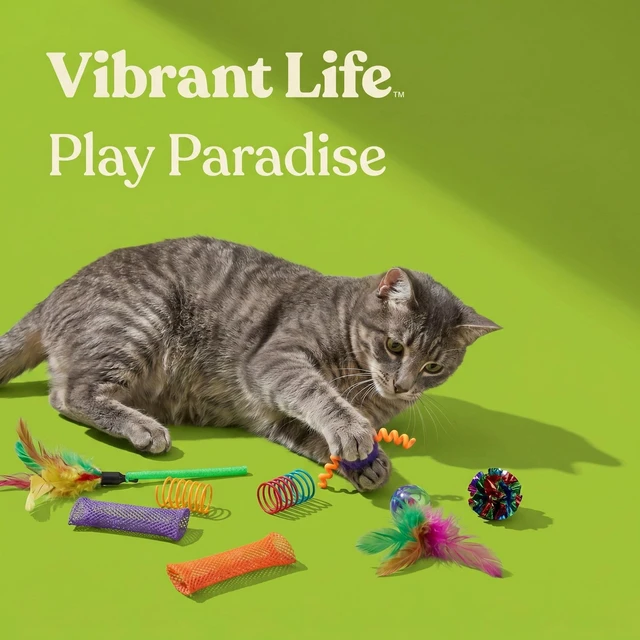Alt view image 3 of 6 - Vibrant Life Cat Toys Value Pack, 24 Pieces