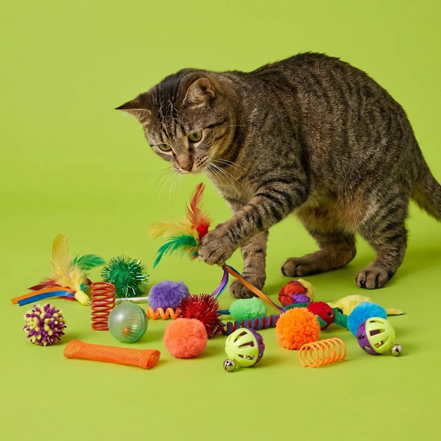 Alt view image 6 of 6 - Vibrant Life Cat Toys Value Pack, 24 Pieces