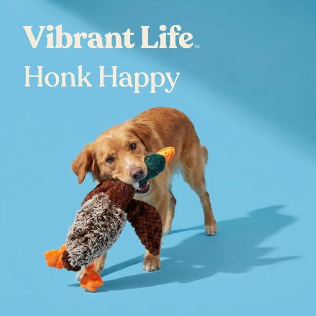 Alt view image 3 of 5 - Vibrant Life Multicolor Duck Plush Dog Toy with Honking Squeaker, Chew Level 1