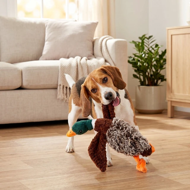 Alt view image 5 of 5 - Vibrant Life Multicolor Duck Plush Dog Toy with Honking Squeaker, Chew Level 1