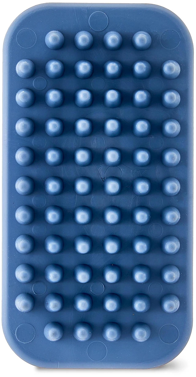 Main image of Vibrant Life Single-Sided TPR Dog Curry Brush, 1 Count