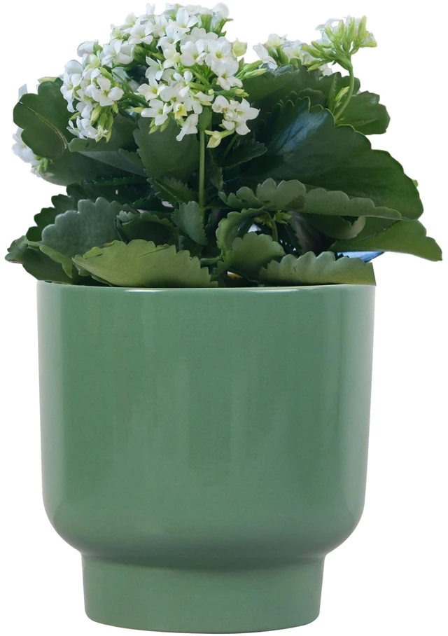 Alt view image 2 of 6 - Mainstays Petra 6in Round Green Ceramic Planter