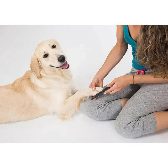 Alt view image 4 of 6 - Pets First Professional Grooming Tough Metal Nail File Grinder for Cats and Dogs