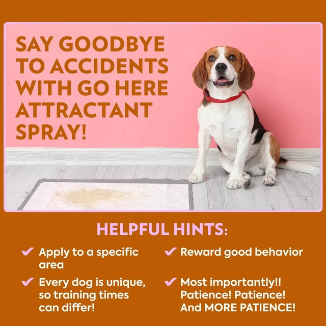 Alt view image 4 of 6 - Out! Go Here Dog Potty Training Attractant Spray, 32fl oz