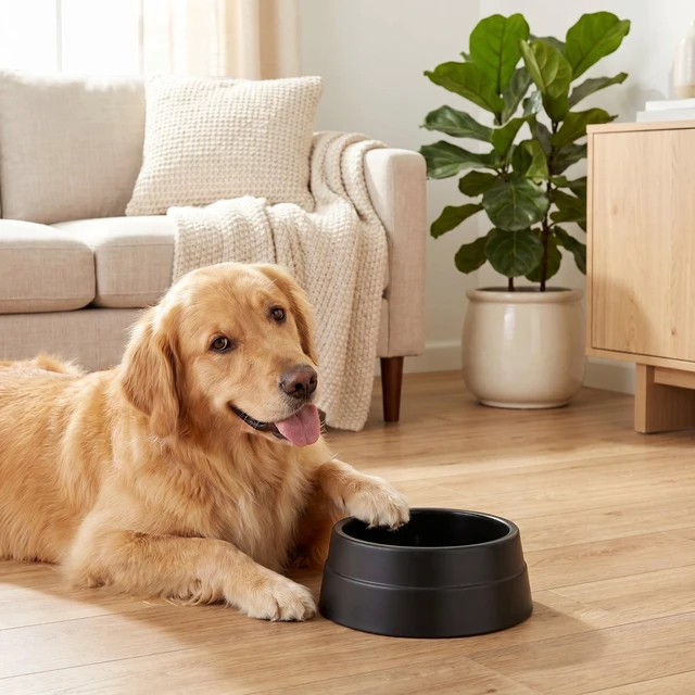 Alt view image 5 of 6 - Vibrant Life 13.25-Cup Large Crock Pet Bowl Black