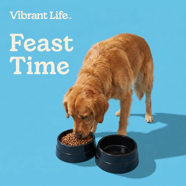 Alt view image 6 of 6 - Vibrant Life 13.25-Cup Large Crock Pet Bowl Black