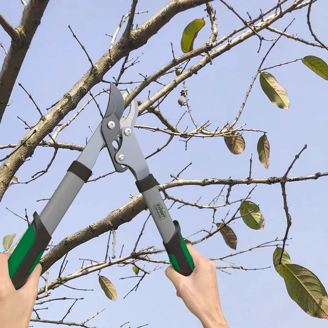 Alt view image 4 of 4 - Expert Gardener 15-Inch Lopper with Ergonomic Grips, Lightweight and Durable