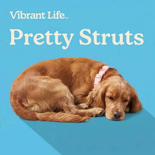 Alt view image 4 of 6 - Vibrant Life Adjustable Neoprene Cushioned Dog Collar, Soft Pink, M