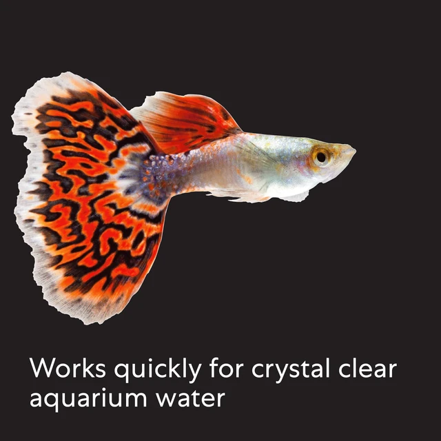 Alt view image 2 of 6 - API Aquarian Cloudy Water Fix 8oz Bottle