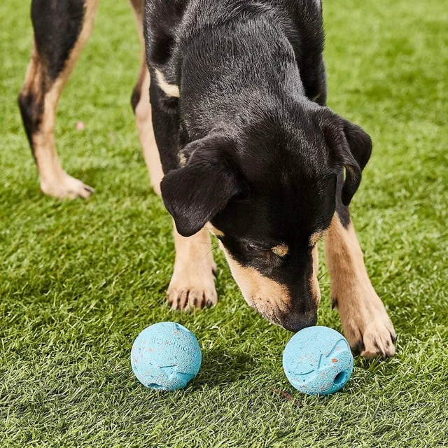 Alt view image 2 of 6 - Chuckit! Rebounce Dog Ball Eco-Friendly Rubber Fetch Toy, Medium 2.5in, 20-60lb, 2-Pack, Bright Blue