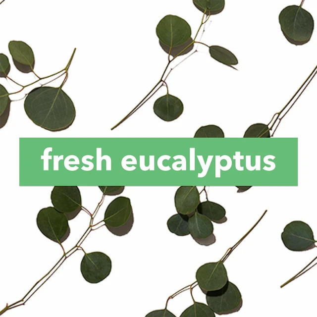 Alt view image 2 of 5 - The Body Lab Fragrance Dose Fresh Eucalyptus, 0.2 fl oz (3 Pack)